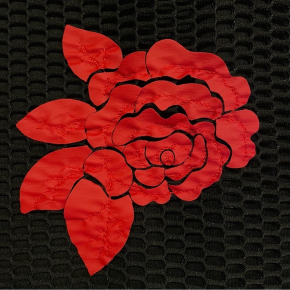 Mystic Floral Rose Appliqué Mesh Bodycon Dress - Picture 12 of 14